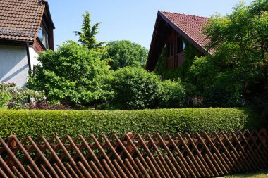 Tipik bir ahşap avcı çiti, Mayıs ayında kırpılmış bir Thuja batılı çitinin önüne kurulur. Thuja bataklıkları (