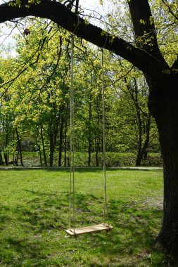 Mayıs ayında bir dinlenme alanındaki bir ağaç dalına asılı bir çocuk salıncağı. Berlin, Almanya.