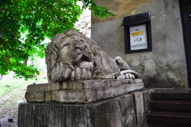 LVIV, UKRAINE - 26 Temmuz 2019. Aslan kollu mermer heykeli. Lviv, Lvov, Ukrayna 'daki barut kulesinde şehrin simgesi..