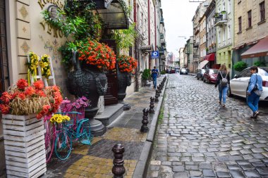 Ukrayna 'nın Lviv caddesinde çiçekli güzel bir çiçek tarlası.