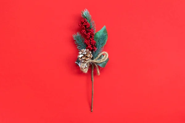 Kırmızı arka planda tek köknar dalları. Noel minimalizmi. Kopyalama alanı olan düz.