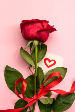 Pembe arka planda kalp şeklinde kırmızı kurdeleli kırmızı gül. Sevgililer günü, anneler günü, kadınlar günü ve doğum günü kavramı. Tebrik kartı. Uzayı kopyala Düz yatıyordu.