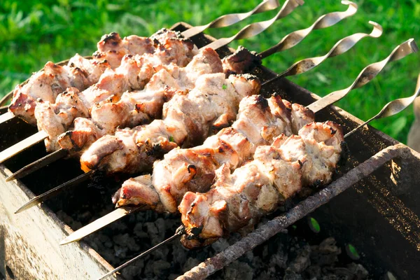 Shish kebab na grelha na rua. — Fotografia de Stock