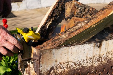 Adam elinde bir gaz ocağı tutuyor, odun ateşiyle barbeküyü yakıyor..