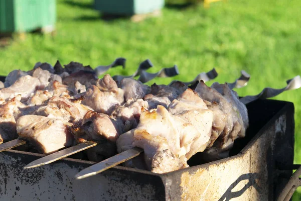 Shish Kebab Sulla Griglia Strada Ora Legale — Foto Stock