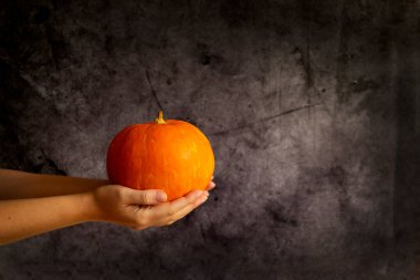 Olgun bir balkabağı kadın eli üzerinde koyu beton arka planda fotokopi alanı ile