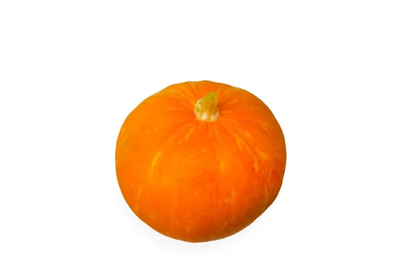 Calabaza naranja madura aislada en el blanco — Foto de Stock