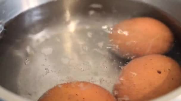 Huevos de pollo hirviendo en sartén de acero inoxidable — Vídeos de Stock