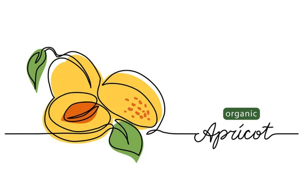 Illustration des Aprikosenvektors. Eine Linie Zeichnung Illustration mit Schriftzug Bio-Aprikose — Stockvektor