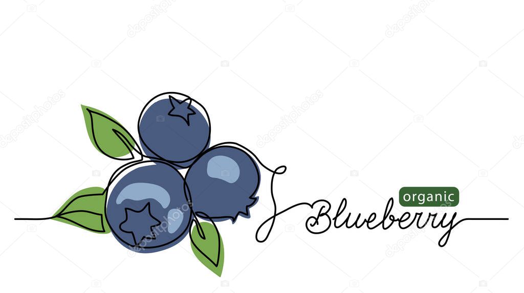 Blueberry vector illustration. One line drawing art illustration with lettering organic blueberry