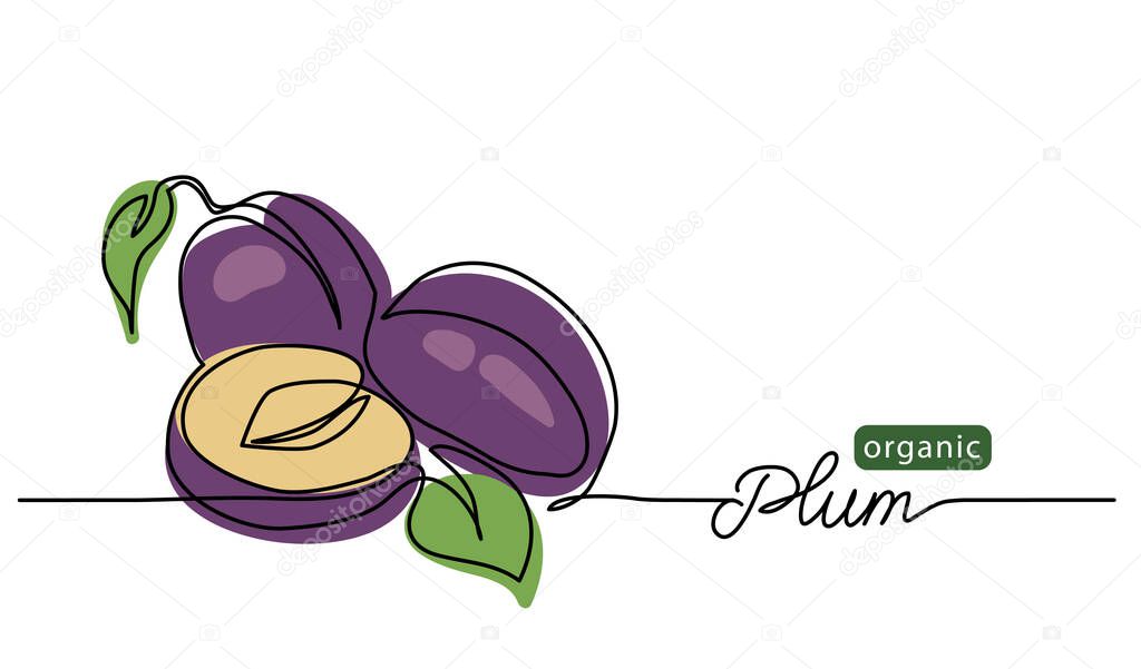 Plum vector illustration. One line drawing art illustration with lettering organic plum