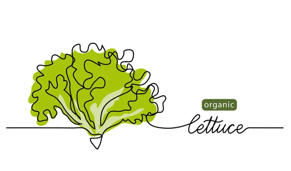 Lattuga, foglie verdi, mazzo di insalata vettoriale illustrazione, sfondo. Disegno a una riga illustrazione artistica con scritte lattuga organica — Vettoriale Stock