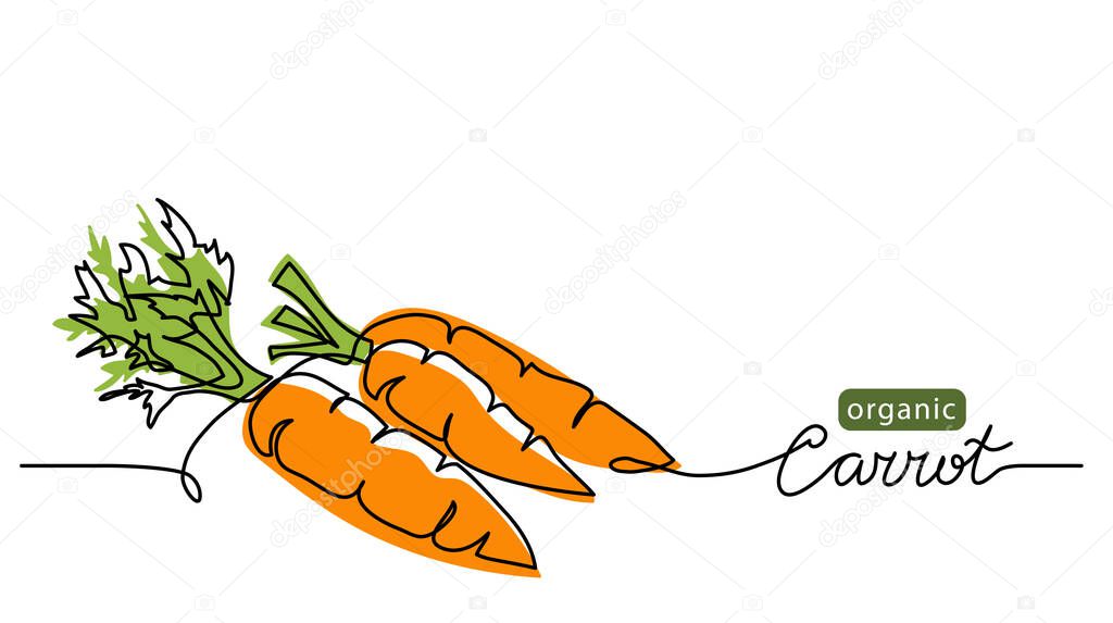 Carrot vector illustration, background. One line drawing art illustration with lettering organic carrot