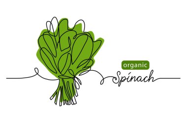 Ispanak, organik yeşil yaprak, salata. Vektör illüstrasyonu, arka plan. Harfli organik ıspanakla resim çizen bir satır