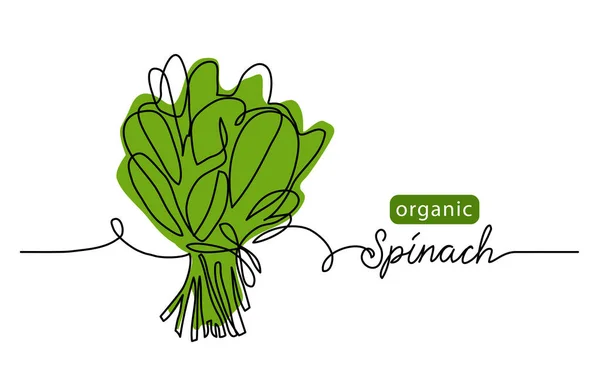 Spinat, grünes Bio-Blatt, Salatbüschel. Vektor-Illustration, Hintergrund. Eine Linie Zeichnung Illustration mit Schriftzug Bio-Spinat — Stockvektor