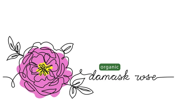 Damask róża, bułgarski wektor kwiaty ilustracja, tło dla projektu etykiety. Jeden ciągły linia sztuka rysunek ilustracja z literami organiczne damask róża — Wektor stockowy