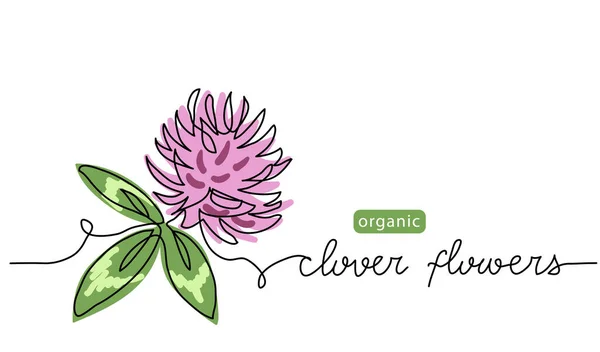 Kleeblume eine Linie Kunstzeichnung. Einfache Vektorzeilenillustration mit Kleeblumen als Schriftzug. Hintergrund für die Etikettengestaltung medizinischer Kräuter — Stockvektor