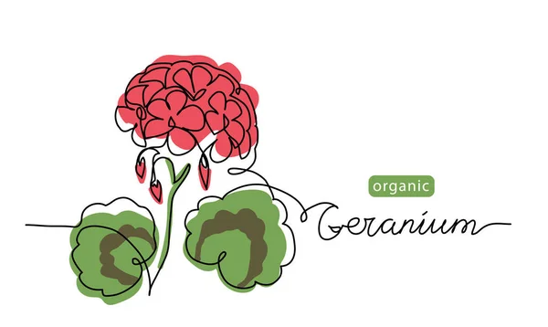 Geranio, flor de pelargonio dibujo de una línea de arte. Ilustración simple de la línea vectorial con letras de geranio orgánico — Vector de stock