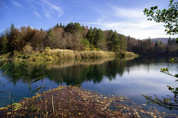 Bela Paisagem Céu Azul Lago Árvores Refletindo Água — Fotografia de Stock