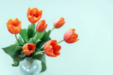 Açık mavi arka planda bir buket turuncu lale. Seçici odaklanma. Bahar tatili kavramı.