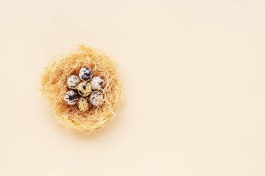 Bej arka planda bıldırcın yumurtaları olan bir yuva. Paskalya konsepti. Üst görünüm, düz görünüm, kopyalama alanı.