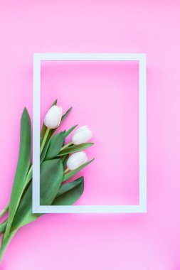 Pembe arka planda resim çerçeveli beyaz laleler. Tatil, Kadınlar Günü ya da Anneler Günü konsepti. Üst manzara, düz uzanma
