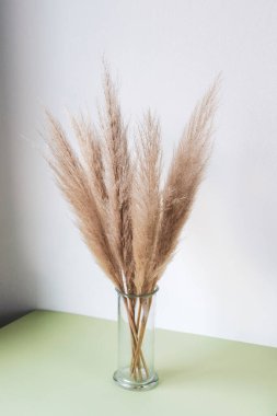 Cam vazoda kurutulmuş otlaklar. En küçük iç dekorasyon kavramı