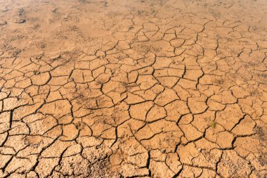 Sulama yerindeki kuru çatlak toprak. Doku, arkaplan