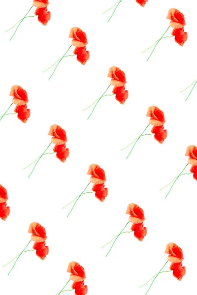 Μοτίβο από κόκκινα λουλούδια παπαρούνας σε λευκό φόντο — Φωτογραφία Αρχείου