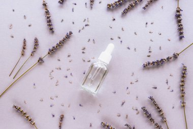 Bir şişe doğal cilt losyonu ve açık leylak arkaplanda lavanta çiçekleri. Üst manzara, düz uzanma.