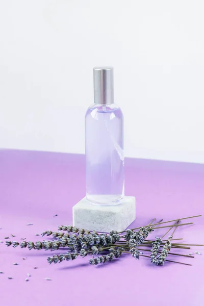 Lavender water or hydrolat in glass bottle with lavender flowers on podium on purple table. Aromatherapy concept. Mock up.