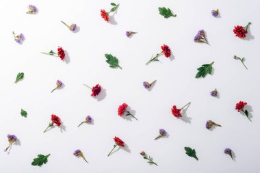 Kırmızı ve mavi renkler beyaz arka plana serpilmiş, koyu gölgeler var. Çiçek desenleri düzdü.