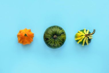 Turkuaz mavi arka plan üzerine dizilmiş üç renkli balkabağı, minimum sonbahar kompozisyonu. Hasat ve mevsimlik konsept. Üst manzara, düz uzanma.