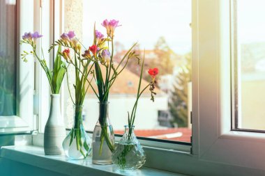 Cam vazolarda Frezya çiçekleri sıcak ışık ve şehir manzaralı pencere eşiğinde..