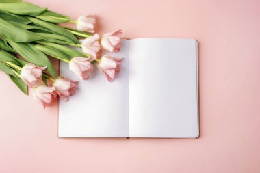 Pembe laleler ve pastel arka plandaki boş defterleri bahar mesajı için fotokopi uzayıyla birlikte aç. Üst görünüm, düz görünüm, model.