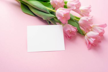 Pastel arka planda boş kart olan pembe laleler. Bahar çiçekli tebrik kartı, üst görünüm, kopyalama alanı.