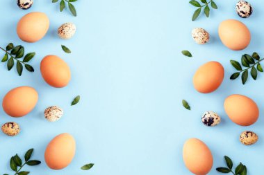 Açık mavi arka planda yeşil yapraklı kahverengi Paskalya yumurtaları ve bıldırcın yumurtaları. Üst görünüm, düz görünüm, kopyalama alanı.