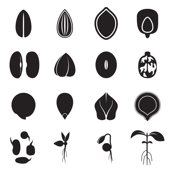 Conjunto de iconos de semillas, que representa los tipos más comunes de semillas de cultivo como frijoles, trigo sarraceno, trigo, girasol, calabaza, ricino, soja, etc. y germinación de semillas y brotes — Vector de stock