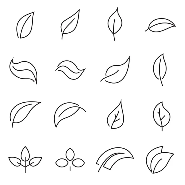 Outline icons of leaves — Stock Vector