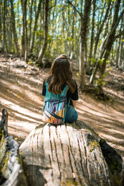 Unrecognizable woman with colorful backpack resting on a tree looking at the forest