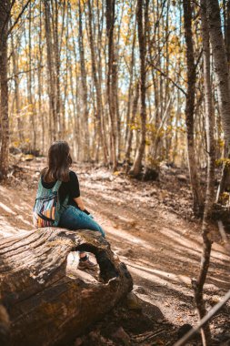 Renkli sırt çantalı tanınmayan bir kadın ağaçta oturmuş ormana bakıyor.