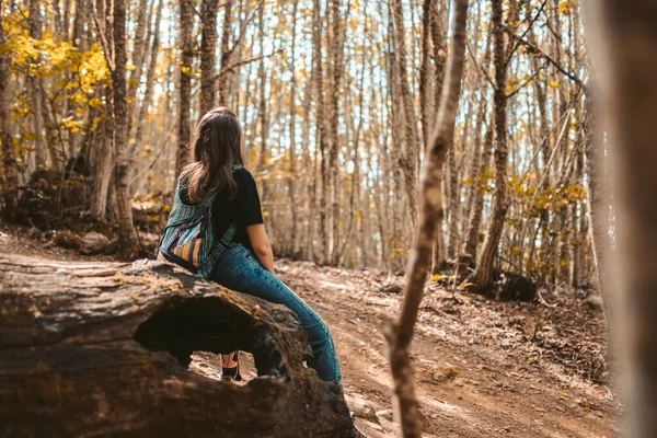 Unrecognizable woman with colorful backpack resting on a tree looking at the forest after hike