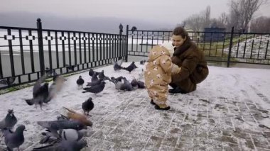 Dişi bir yetişkin, küçük bir çocukla iletişim kurar, karlı bir yüzeyde güvercinlerle kuş yemini paylaşır, sakin bir açık hava ortamında neşeli bir etkileşimi vurgular.