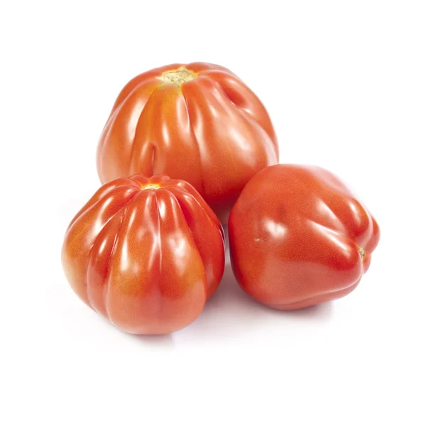 Oxheart domates izole