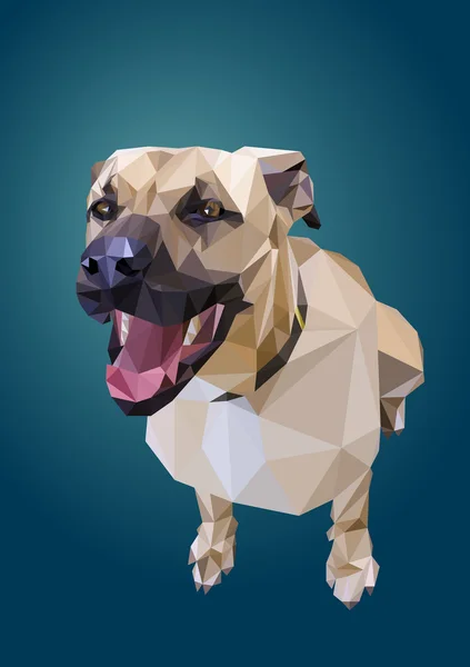 Laag Poly hond — Stockvector