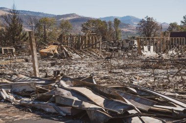 Oregon yangınından sonra toplam mal kaybı.