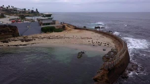 Zwembad voor kinderen in La Jolla, Californië. Zeehonden die op zand rusten. — Stockvideo