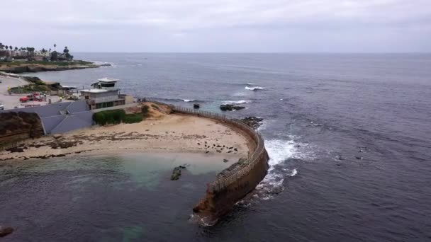 Vista de Childrens Pool Beach en La Jolla en San Diego, California, Estados Unidos — Vídeos de Stock