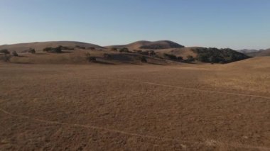 Tepelerde meşe ağaçları olan çorak tarlalar. 