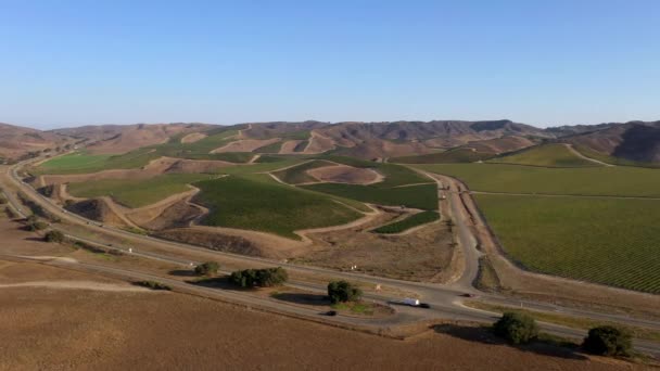 Široký záběr vinice s dálnicí 101 procházející ve střední Kalifornii — Stock video